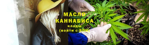 мдпв Елизово