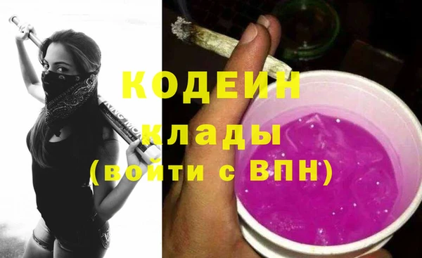 мдпв Елизово