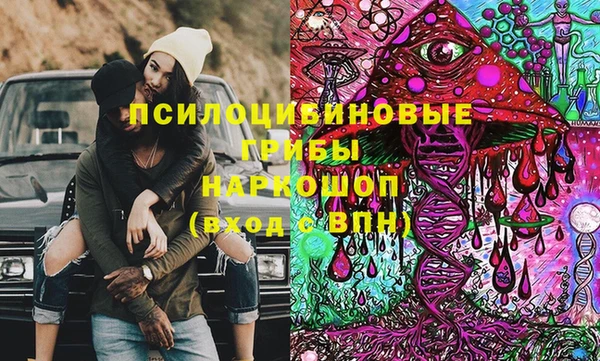 mix Ельня