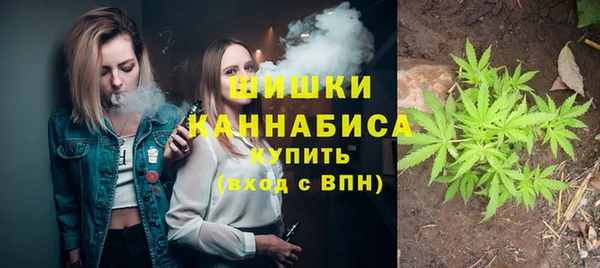 мдпв Елизово