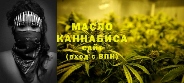 МДПВ Елабуга