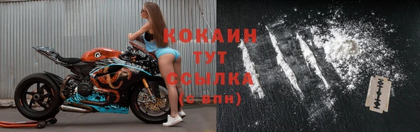 mix Ельня