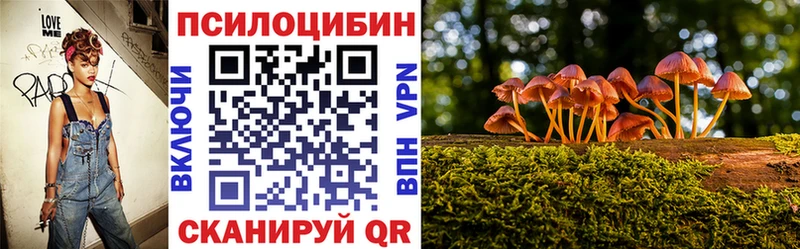 Купить где  Серпухов  Псилоцибиновые грибы ЛСД 